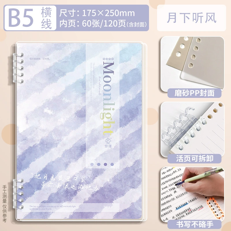 Loose-leaf ring binder planner detail